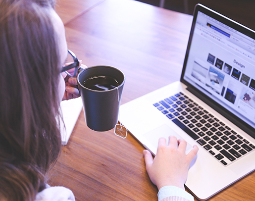 Experienced Wordpress Support